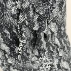 Peacocks hosszított blézer